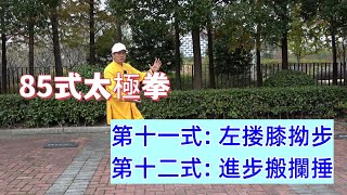 85式杨氏太极拳分解教学（第十一、十二式）【左搂膝拗步、进步搬拦捶】Form 11,12  （Eng cc）