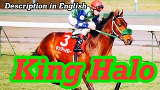 Frustrations and Glories of a world blooded horse - King Halo（キングヘイロー）