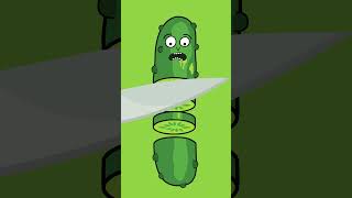 Sour Sliced Pickle