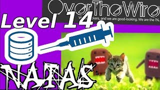 Python Web Hacking: SQL Injection | Natas: OverTheWire (Level 14)