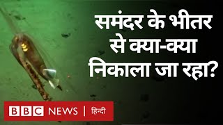 Deep Sea Mining: समुद्र की गहराई में खनन का क्यों हो रहा है विरोध? (BBC Hindi)