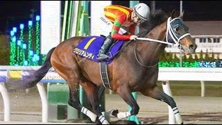 第６８回　ダイオライト記念 （JpnII）　グロリアムンディ　牡５　56　川田将雅　2023.3.15　　出走馬：テリオスベル、メイショウフンジン、エルデュクラージュ、ペイシャエス他