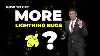 How can you get more lightning bugs in your backyard?