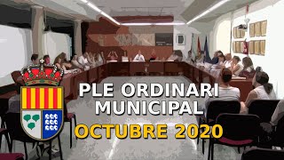 PLE ORDINARI MUNICIPAL (OCTUBRE 2020)