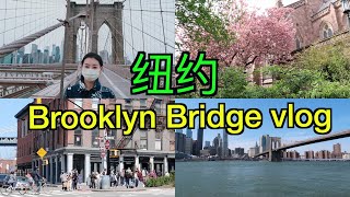 纽约Brooklyn Bridge park vlog: 疫情中人头攒动的的大桥| piers| Dumbo| Brooklyn Heights| 那年独立日烟花【TT YaYa】