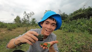 Ytiet Nhồi khổ Qua với Thịt Bò - Ytiet Stuffed with Beef