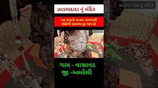 ઝાડવા દાદાનું મંદિર #youtubeshorts#shortvideo