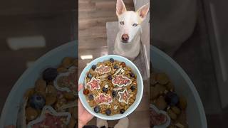 What I feed my dog for breakfast🥩🥞#dogshorts #doglover #pets #dog #dogfeeding #dogowner #puppy