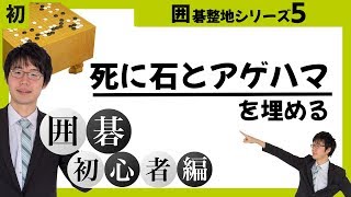 ◯初心者でもわかる囲碁解説◯整地シリーズ第5回「死に石とアゲハマを埋める」