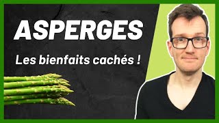 Asperge : Tout ce qu'il y a à savoir !