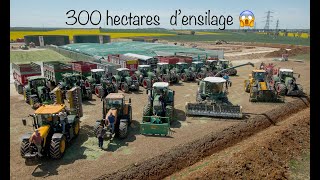 GROS CHANTIER D'ENSILAGE  300 HECTARES,  dans cette unité de Méthanisation  😱