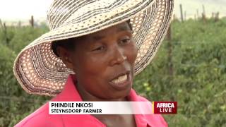 Woolworths Partners With Small Scale Farmers In South Africa