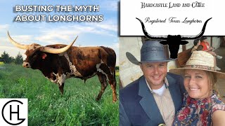 America’s Original Beef Cattle | Beginners Guide to Raising Longhorn Cattle