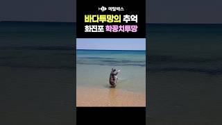 바다투망 추억영상, 형광등 학꽁치그물낚시, 최덕환 투망달인, 고성 동해바다 화진포해수욕장 학꽁치투망, 화진포해변, 수제숭어투망, castnet, fishing, playpesca