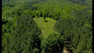 Countrytracts.com| 126 Acre Al Tract | Beagle Club | Alabama Land For Sale