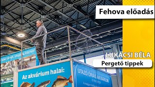 Pergetett apróságok - Lukácsi Béla, Fehova előadás