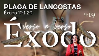 [#19] La plaga de LANGOSTAS 🧊 [La importancia de RECORDAR]  [Éxodo10:1-20]