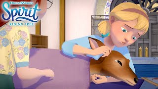 The Vet Is In | SPIRIT RIDING FREE