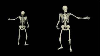 3D Skeleton Motion Capture