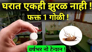 झुरळांवर पावरफुल उपाय 3 रुपयात |zural marnyache upay|cockroach control|kitchen tips,cleaning marathi