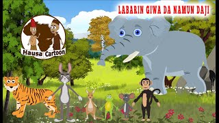 Labarin Giwa Da Namun Daji | With English Subtittle | Hausacartoon |4K UHD