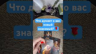 Что думает новый знакомый? 🌹