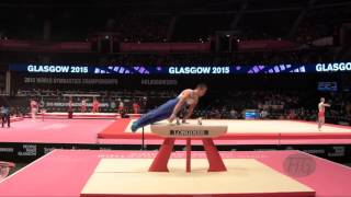 BERTONCELJ Saso (SLO) - 2015 Artistic Worlds - Qualifications Pommel Horse