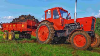 MTZ Belarus 50 | MTZ 80 | MTZ 82 Compilation 2018-2020 Part 2