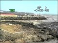 Tsunami at Kanyakumari, Tamil Nadu, India, Boxing Day 2004: video 1