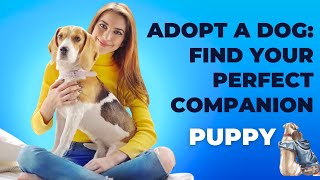 Adopt a Dog: Find Your Perfect Companion