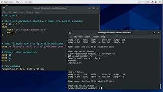 Bash Shell Programming - Parameters, Conditionals, & Loops
