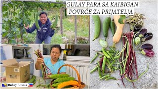 Povrće za prijatelja | Harvested and send vegetable to a friend | Nagpadala ng gulay sa kaibigan