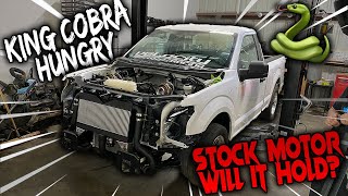 THE KING COBRA IS HUNGRY! COLORADO TRUCK MADNESS CRUNCH TIME!!