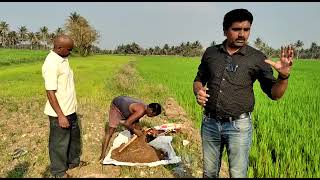 ಭತ್ತದ ಬೆಳೆಗೆ ಬಯೋಫಿಟ್ ಸಾವಯವ ಜೈವಿಕ ಉತ್ಪನ್ನಗಳನ್ನು ಬಳಸುವ ವಿಧಾನ ಭಾಗ-1, ಸಂಪರ್ಕಿಸಿ ಮೋಹನ್ 9535253243