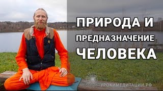 Природа и предназначение