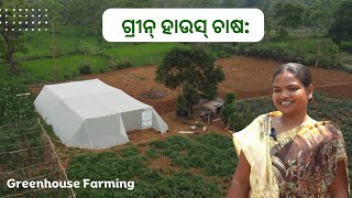 Greenhouse Farming/ ଗ୍ରୀନ୍ ହାଉସ୍ ଚାଷ: