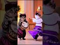 beautiful cat dance🐾😻🐾🐾😻😻 cutecat cats cat dancingcat catvideos shortfeed viralshorts