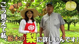 ＃21　こう見えて私、栃木の梨に詳しいんです！　後編【とちぎフレッシュメイトチャンネル】