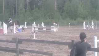 Q-HAVAINTOJA ♞ Jumping Ypäjä 25.5.14, 95 cm