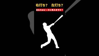 右打ち？左打ち？あなたはどちらに見えますか？ #野球 #プロ野球 #Shorts