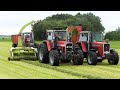 Massey Ferguson 2640, 2680 & 2725 Chopping Grass | Vintage Grass Silage Day