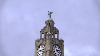 A Brief History of the Liverpool Liver Building