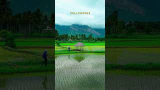 Palakkad kerala #palakkad #kerala #viral #video