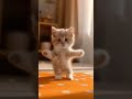 Small Cat dance motorcycle #cat #dance #motorcycle #dieunhaylaixemoto #viral #foryoupage #petda