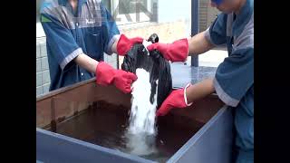 ESP filter cell cleaning