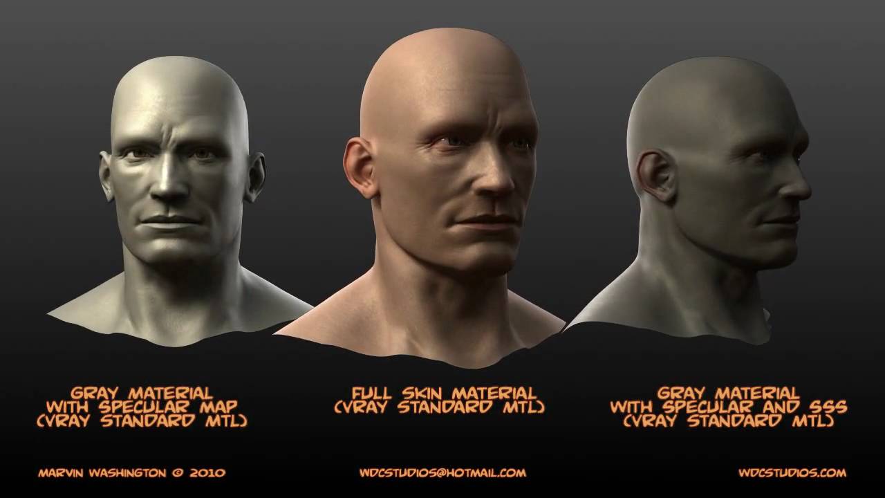 Head Study V2 Youtube