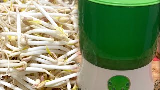 Cách làm GIÁ ĐỖ BẰNG MÁY,THÂN MẬP, NGỌT KHÔNG BỊ ĐẮNG, SẠCH SẼ, HIỆU QUẢ,AN TOÀN,TIẾT KIỆM THỜI GIAN