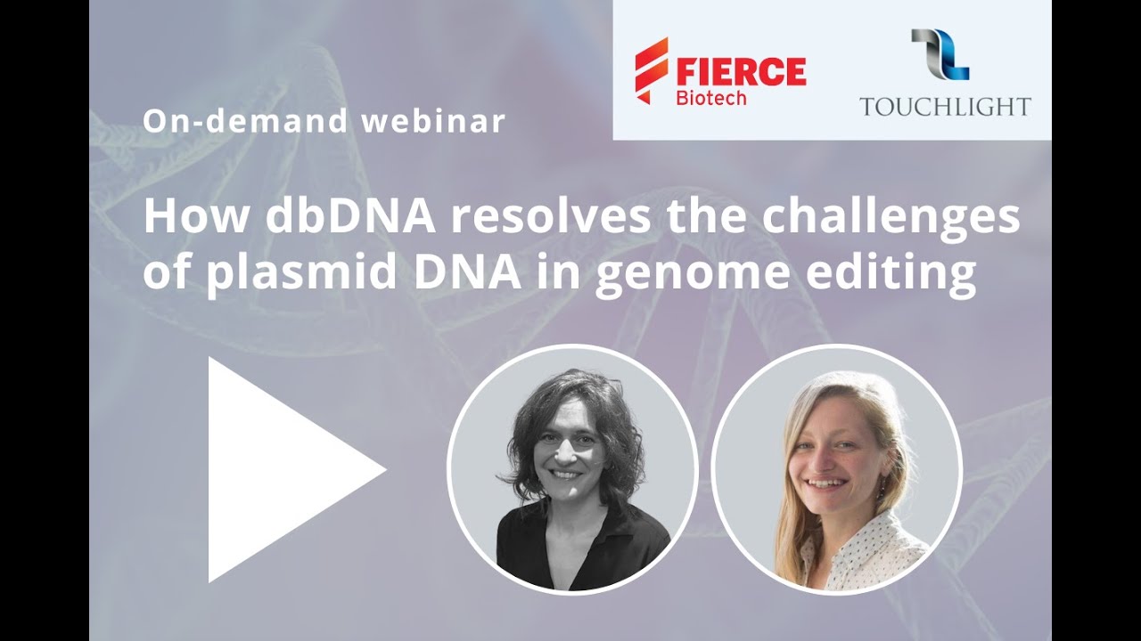 How Doggybone DNA Resolves The Challenges Of Plasmid DNA In Genome ...