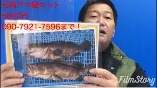 対馬のユーチューバー！アラ「クエ」鍋セット販売。