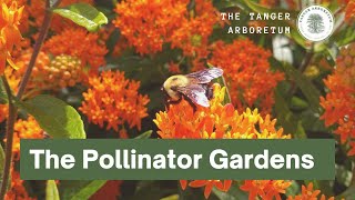 The Pollinator Gardens | The Tanger Arboretum